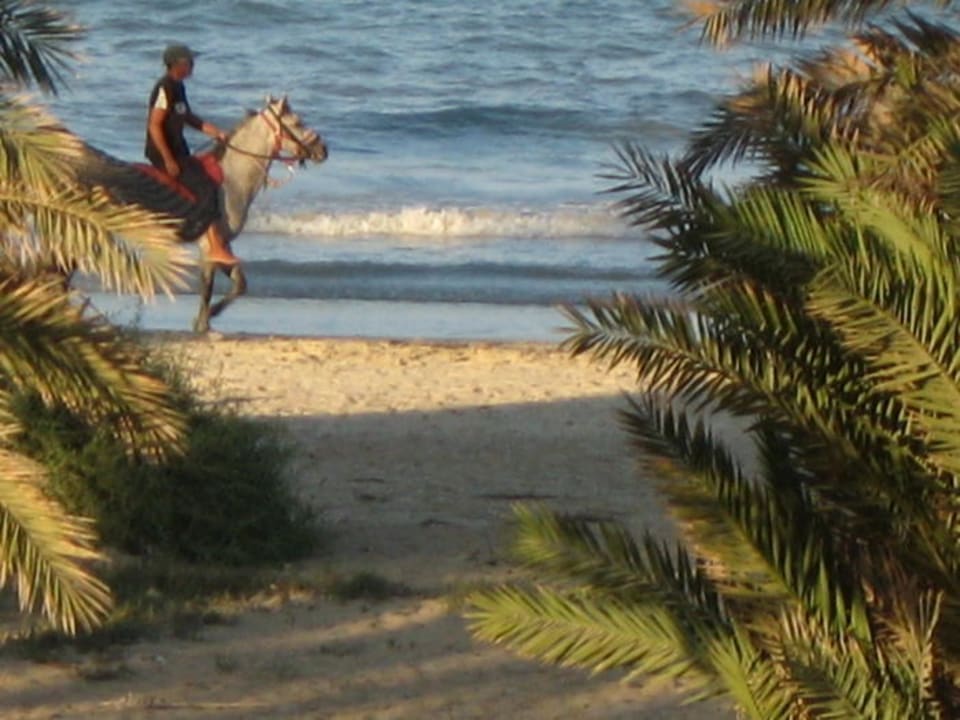 Reiter am Strand beim Vincci Hotel Eden Star