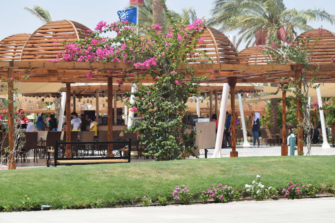 Gartenanlage Desert Rose