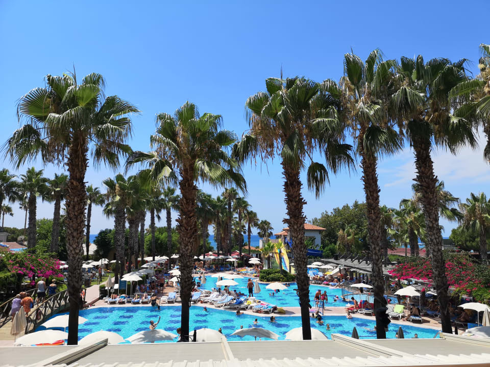 Ausblick Trendy Palm Beach (Adults Only, 16+)