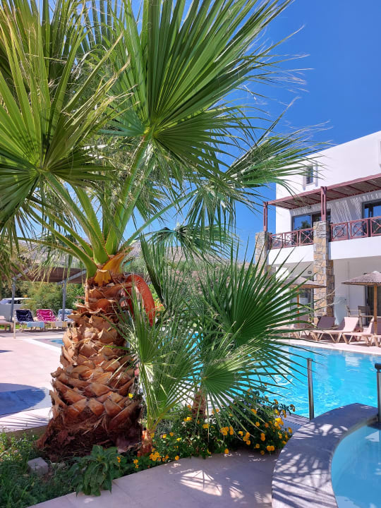 Pool Hotel South Coast