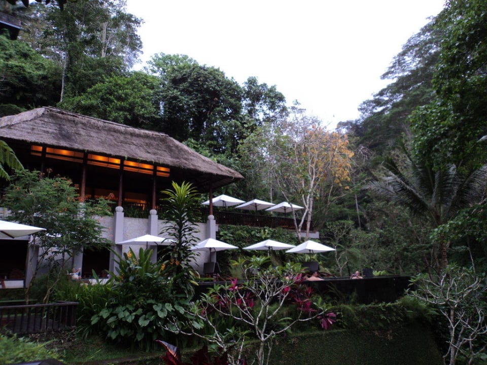 Hotelanlage und Pool mitten im Dschungel Maya Ubud Resort & Spa Bali