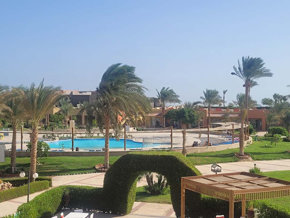 Pool Malikia Resort Abu Dabbab