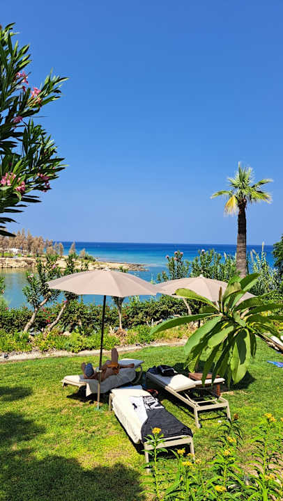 Gartenanlage Crystal Springs Beach Hotel