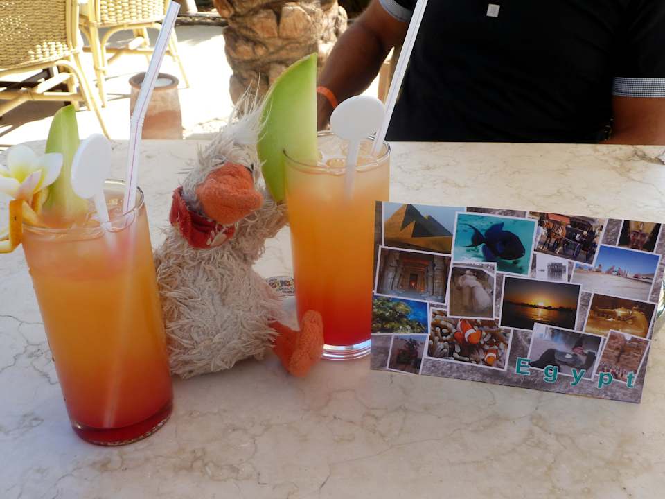 Poolbar Ghazala Gardens