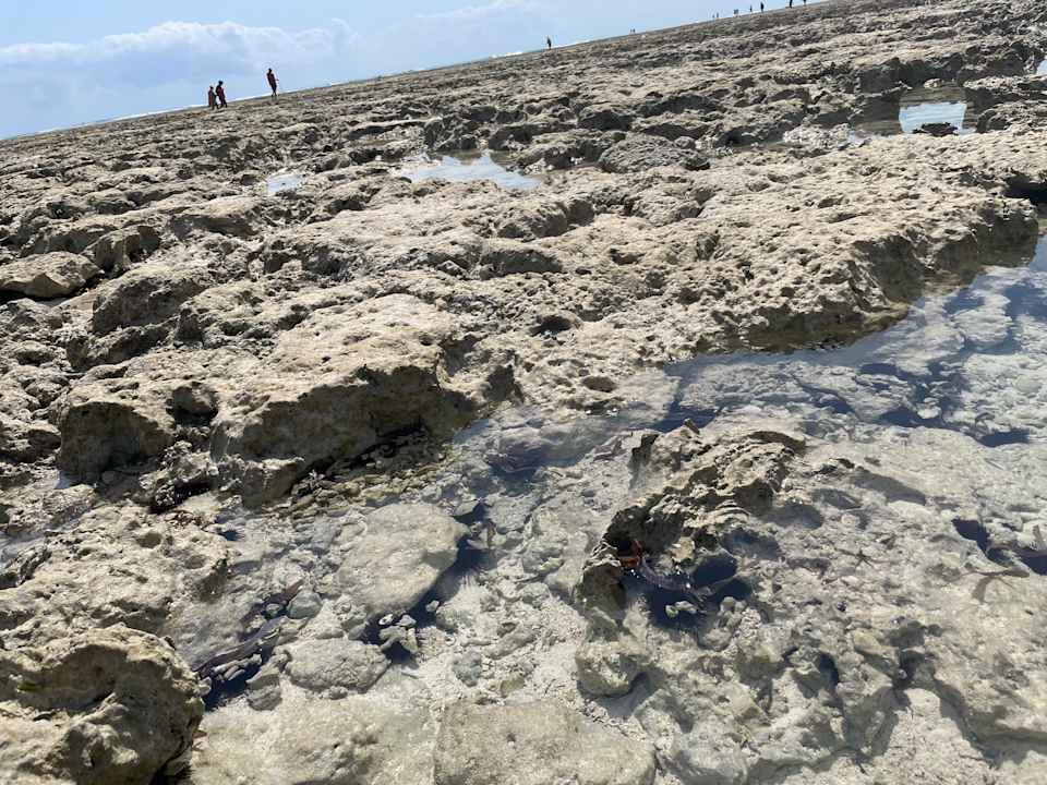 Strand TUI Blue Bahari Zanzibar