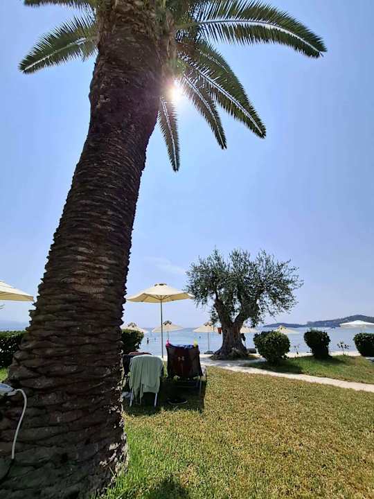 Gartenanlage Elea Beach Hotel