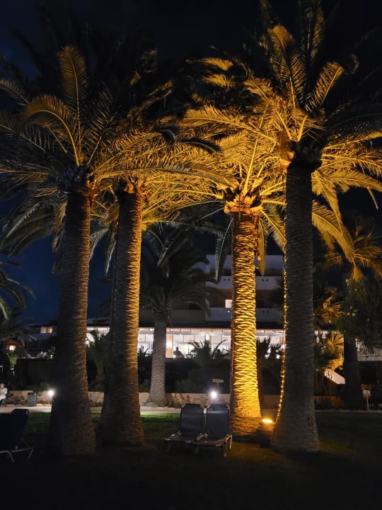 Gartenanlage Anissa Beach & Village