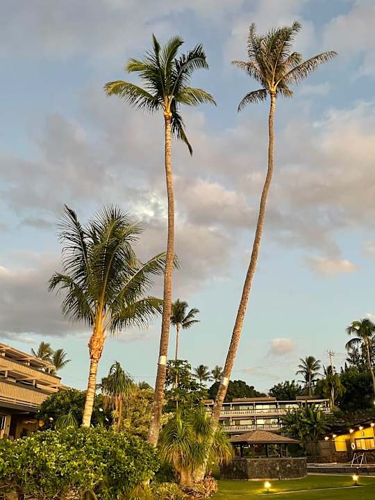 Außenansicht Kahana Sunset
