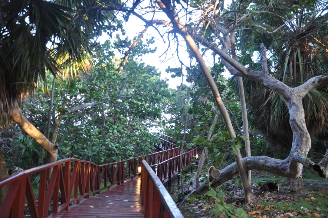 Weg zum Strand Iberostar Origin Taínos