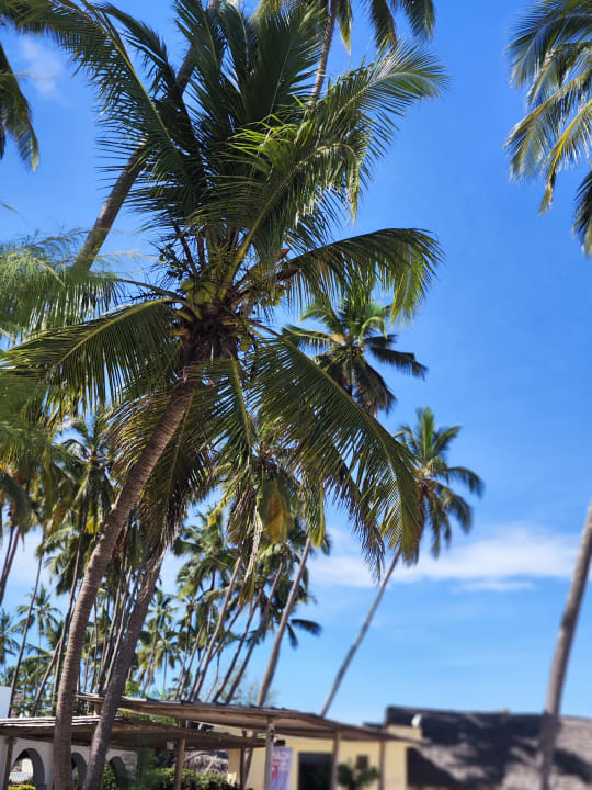 Ausblick TUI Blue Bahari Zanzibar