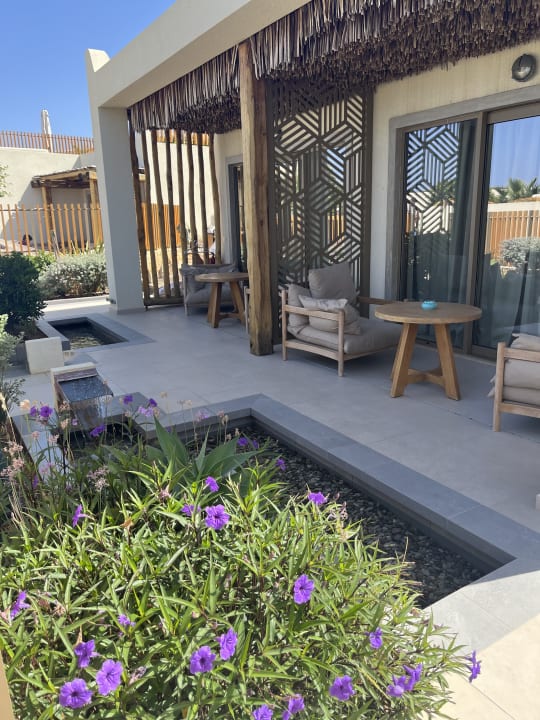 Zimmer Mitsis Rinela