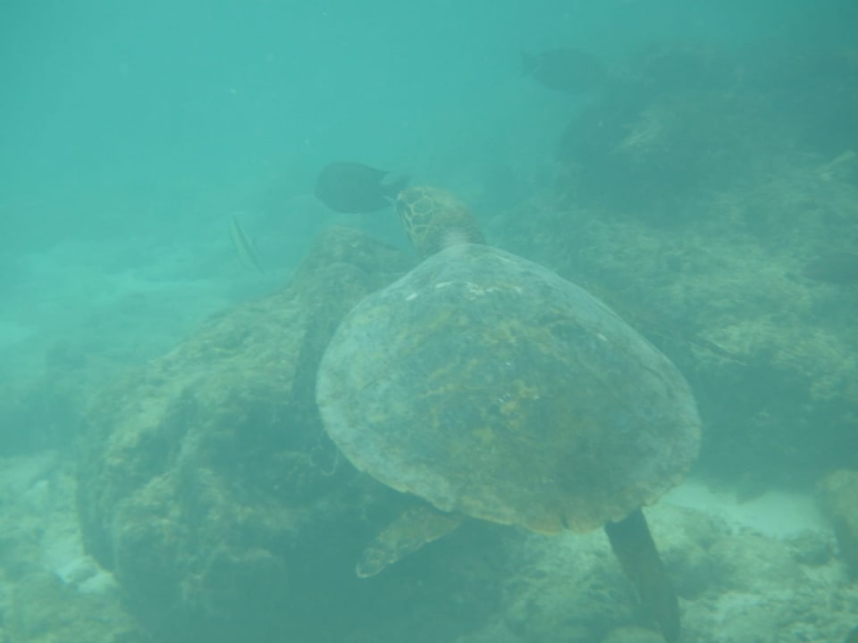 Sport & Freizeit Sun Siyam Olhuveli