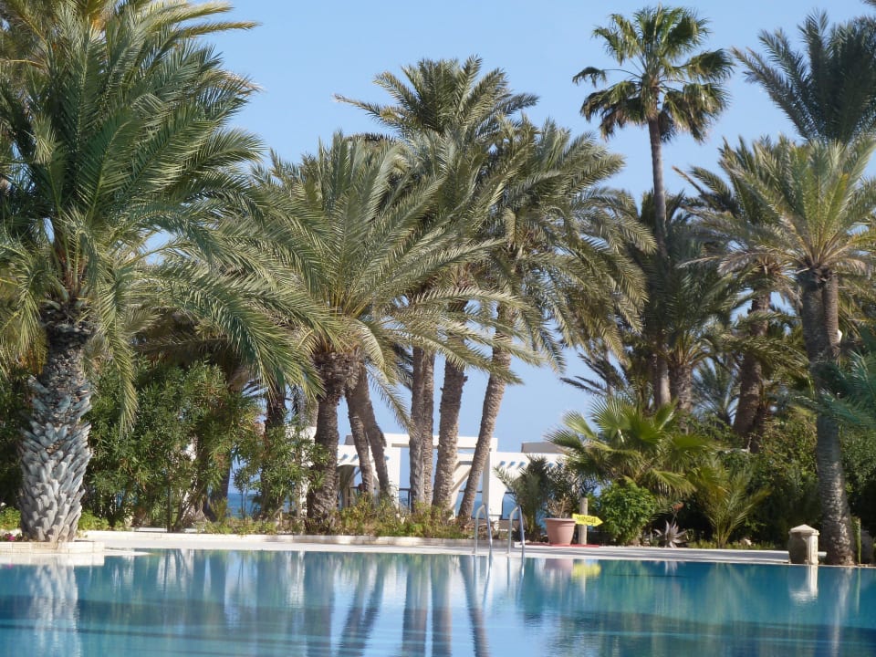 Poolanlage Zita Beach Resort