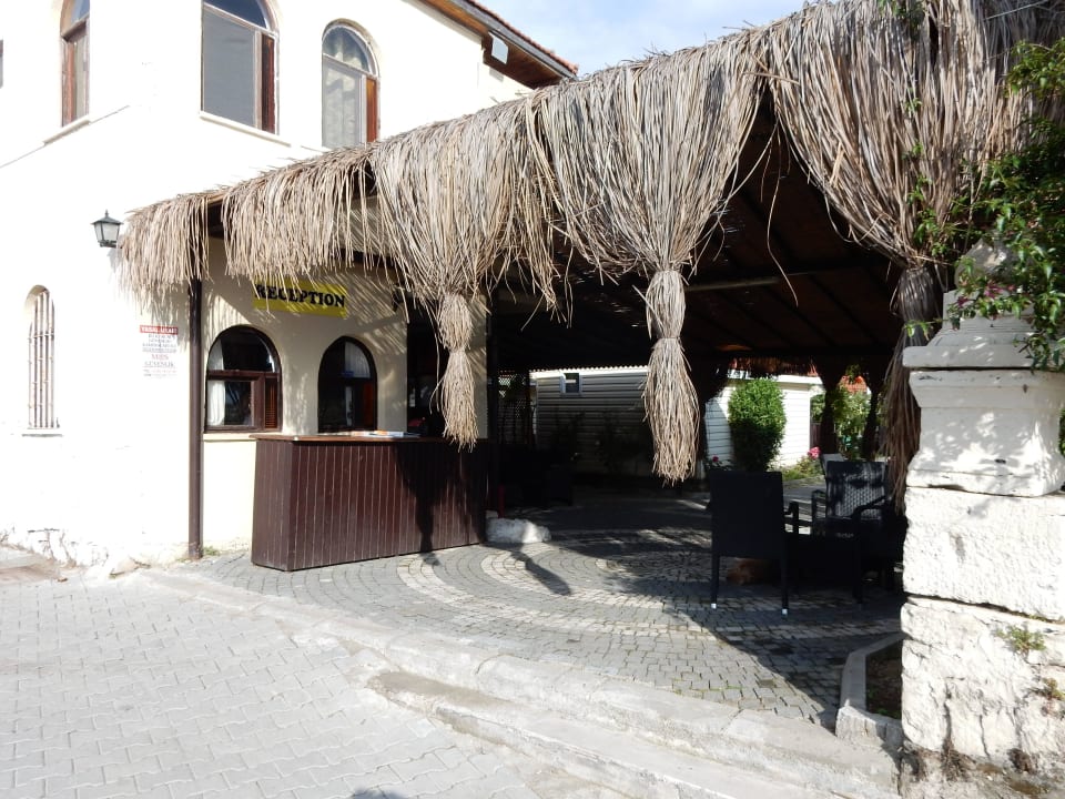 Rezeption Clover Magic Nova Beach