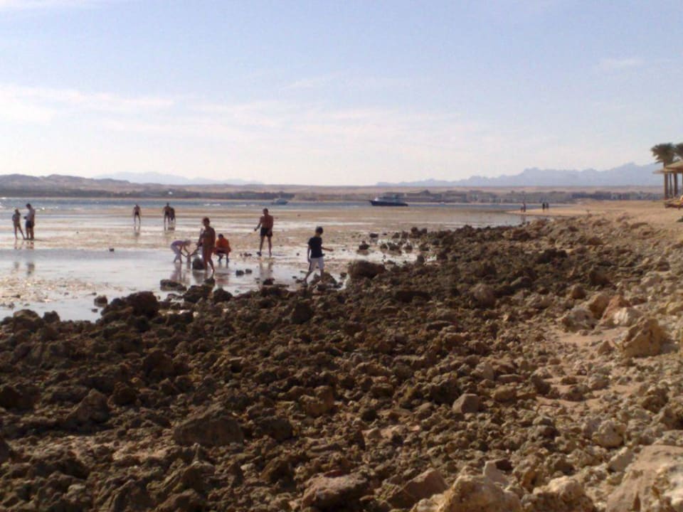 Makadi Bay bei Ebbe Makadi Palace