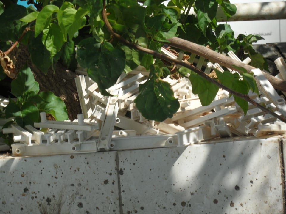 Pool am Hauptgebäude Club Hotel Anjeliq