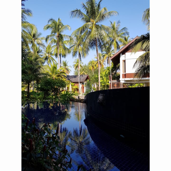 Pool Graceland Khao Lak Beach Resort