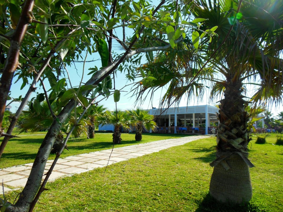 Strandrestaurant Hotel Süral Resort