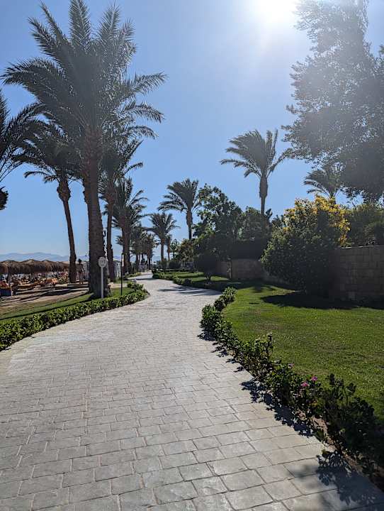 Strand Sentido Caribbean World Soma Bay