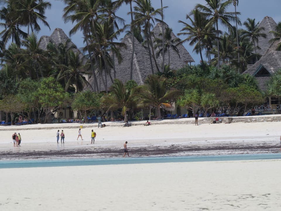 Strand Neptune Pwani Beach Resort & Spa