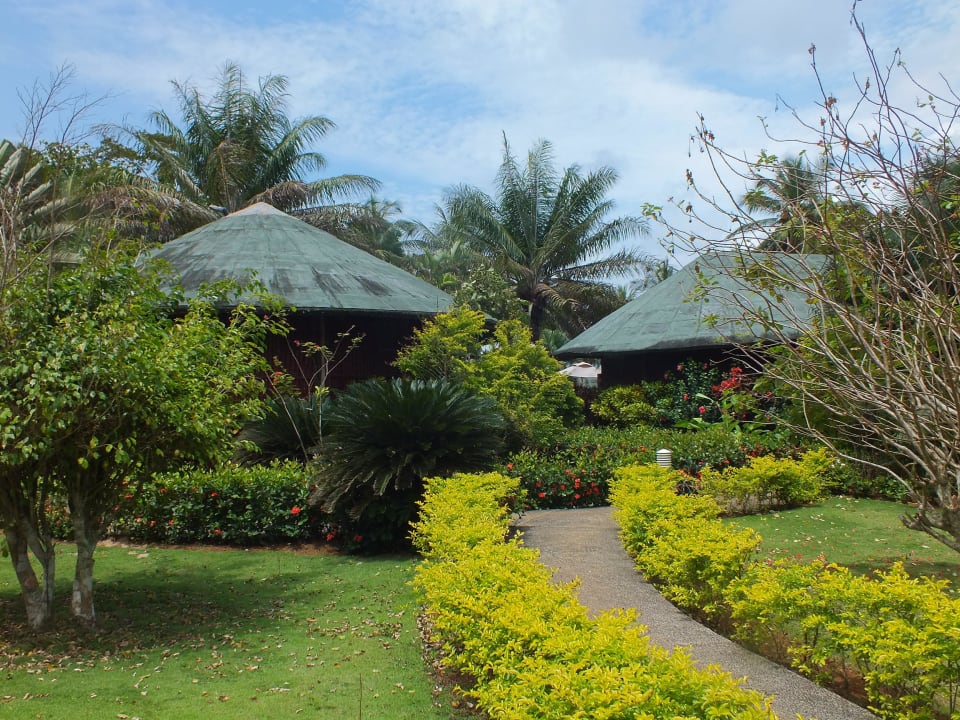 Gartenanlage Hotel Bom Bom Island Resort