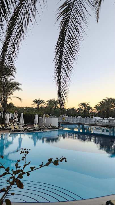 Pool Royal Wings Hotel