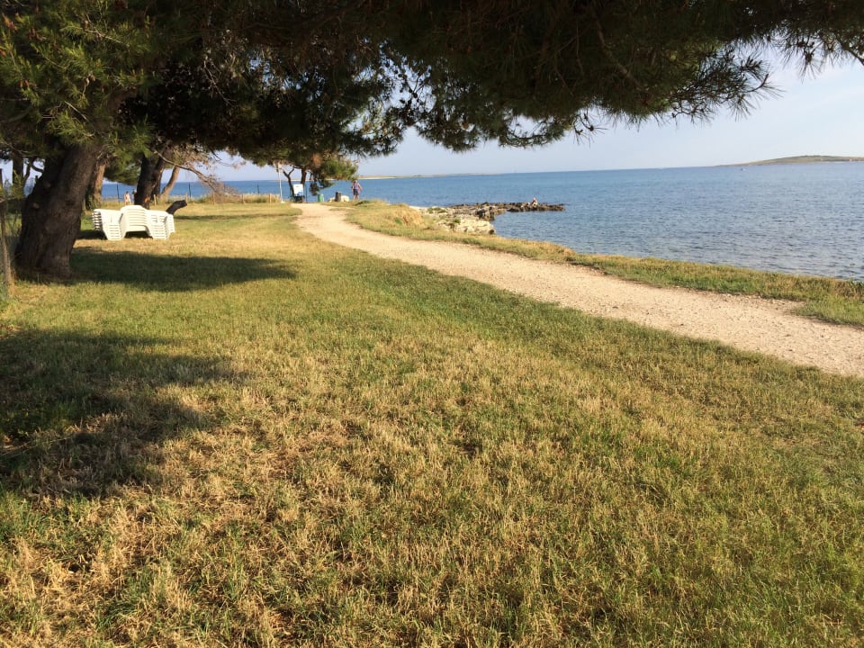 Private Strandparzelle mit Strandliegen Strandvilla Aurora