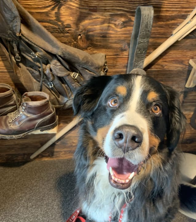 Sonstiges Sunstar Hotel Klosters