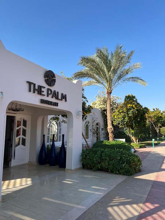 Außenansicht Desert Rose