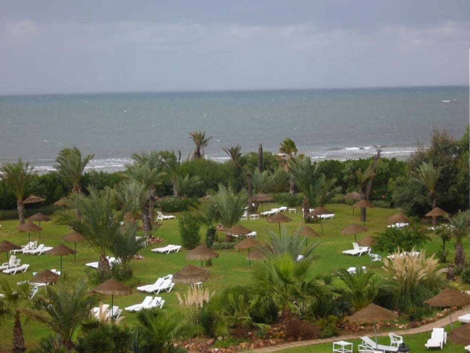 Die Gartenanlage mit Liegestühlen! Hotel Rosa Beach