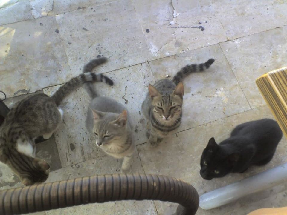 Miezen Hotel Andiz Beach