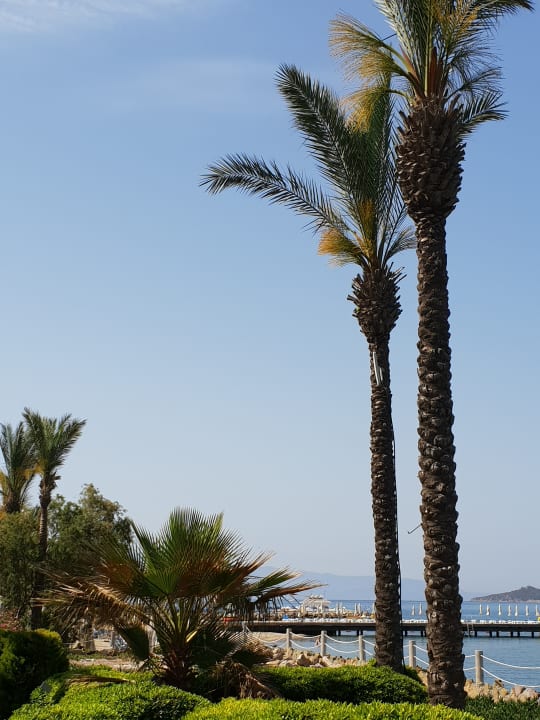 Ausblick MyElla Bodrum Resort & Spa