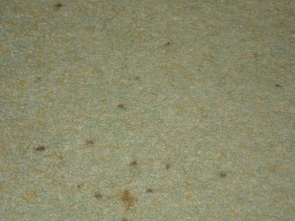 Teppichboden Side Bay Hotel