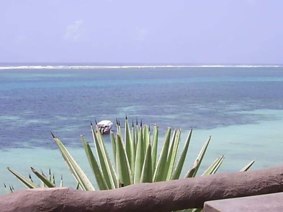 Rundumblick Teil2 Bahari Beach Hotel