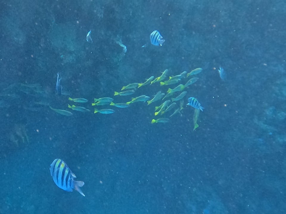 Strand Jaz Dar EL Madina