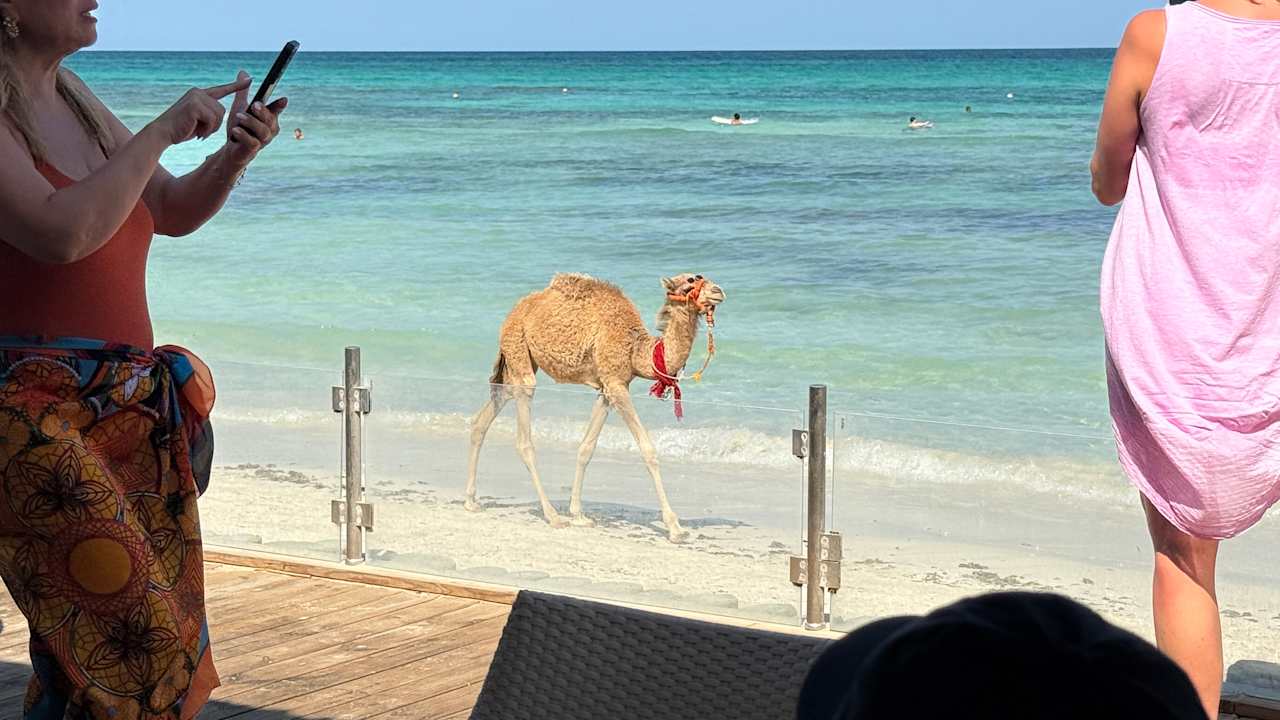 Strand ROBINSON DJERBA BAHIYA