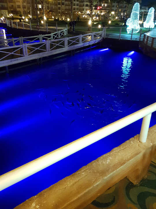 Gartenanlage Pickalbatros Dana Beach Resort - Hurghada