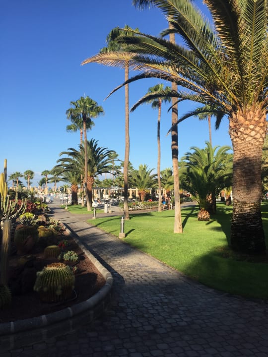 Gartenanlage Hotel Riu Gran Canaria