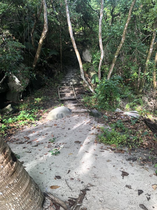 Gartenanlage Constance Ephelia