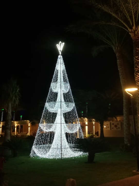 Sonstiges Rixos Sharm El Sheikh Adults Only 18 +