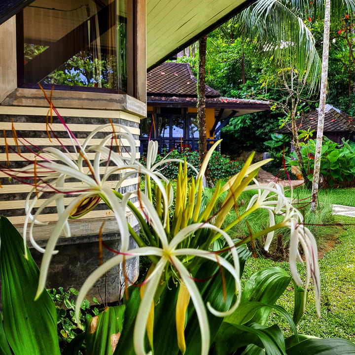 Zimmer Moracea by Khao Lak Resort