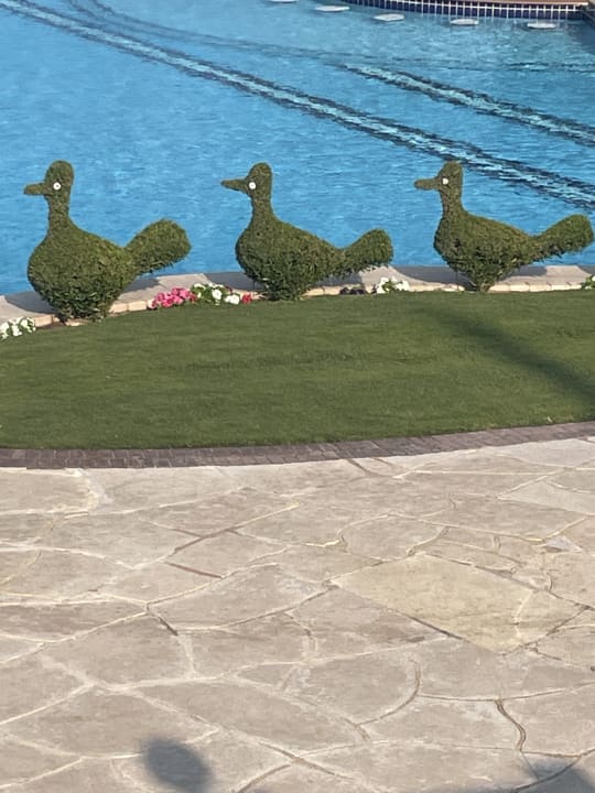 Gartenanlage Steigenberger ALDAU Beach Hotel