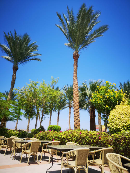 Gartenanlage JAZ Mirabel Beach