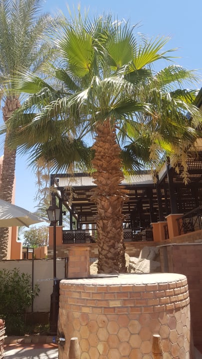 Gartenanlage Jaz Makadi Oasis Resort