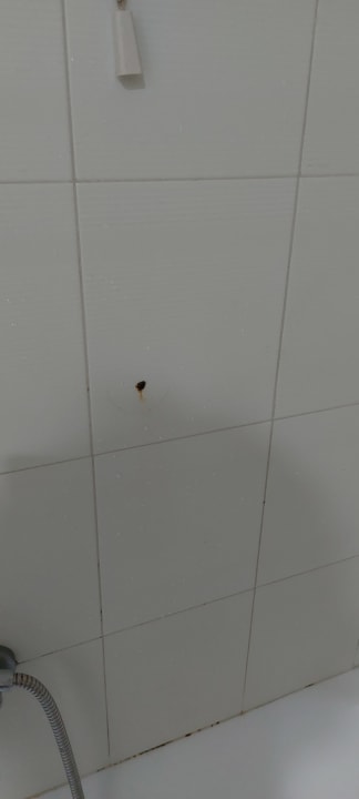 Zimmer Hotel Astir Beach