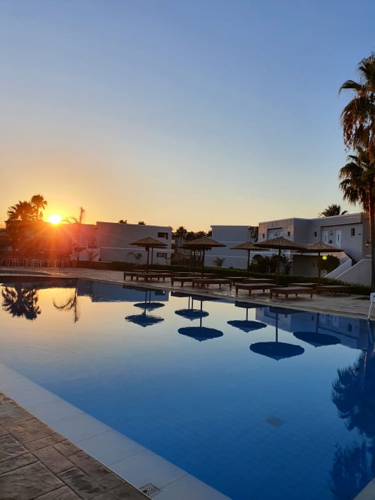 Pool Delfina Tropic Beach