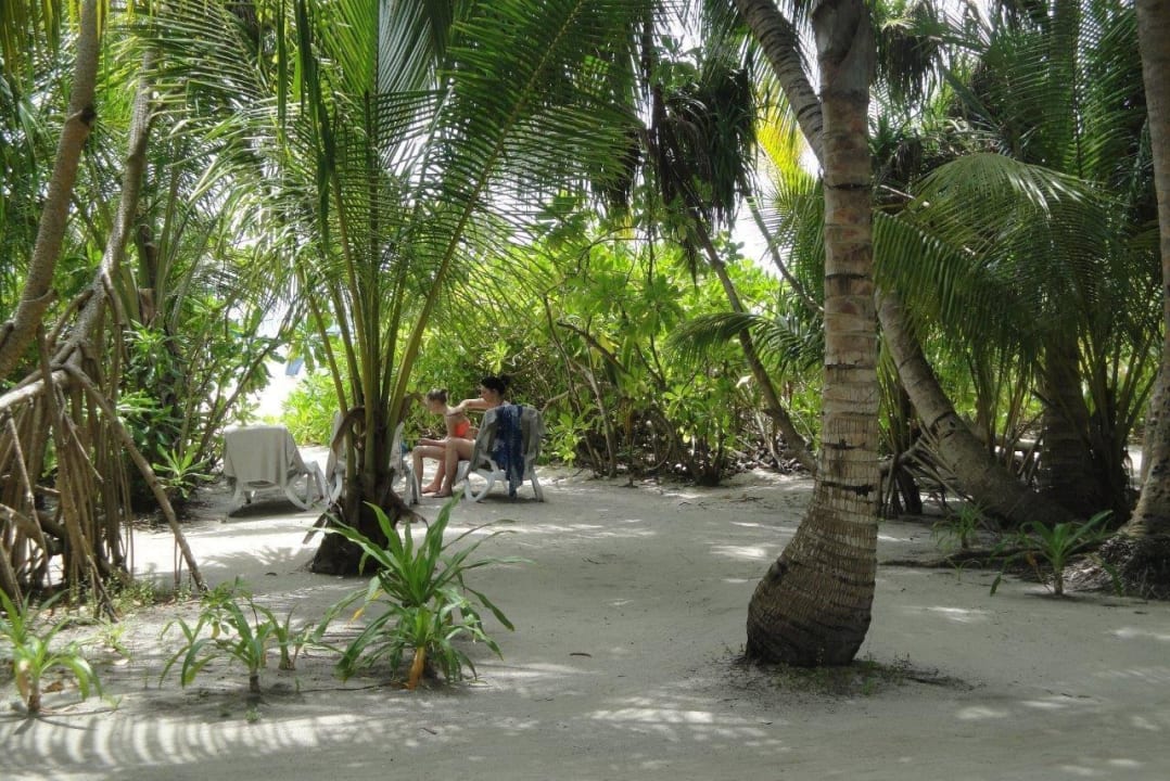 Palmengarten Kuramathi Maldives