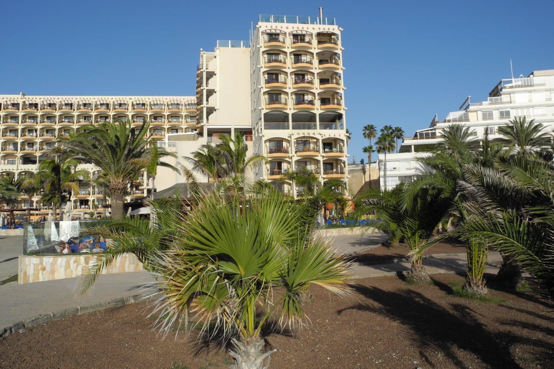 Blick vom Strand Bull Dorado Beach & Spa