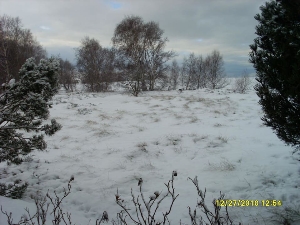 Dünen Ferienwohnungen Ferienpark Weissenhäuser Strand