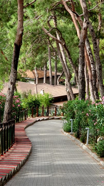 Gartenanlage TUI BLUE Seno - Adults Only